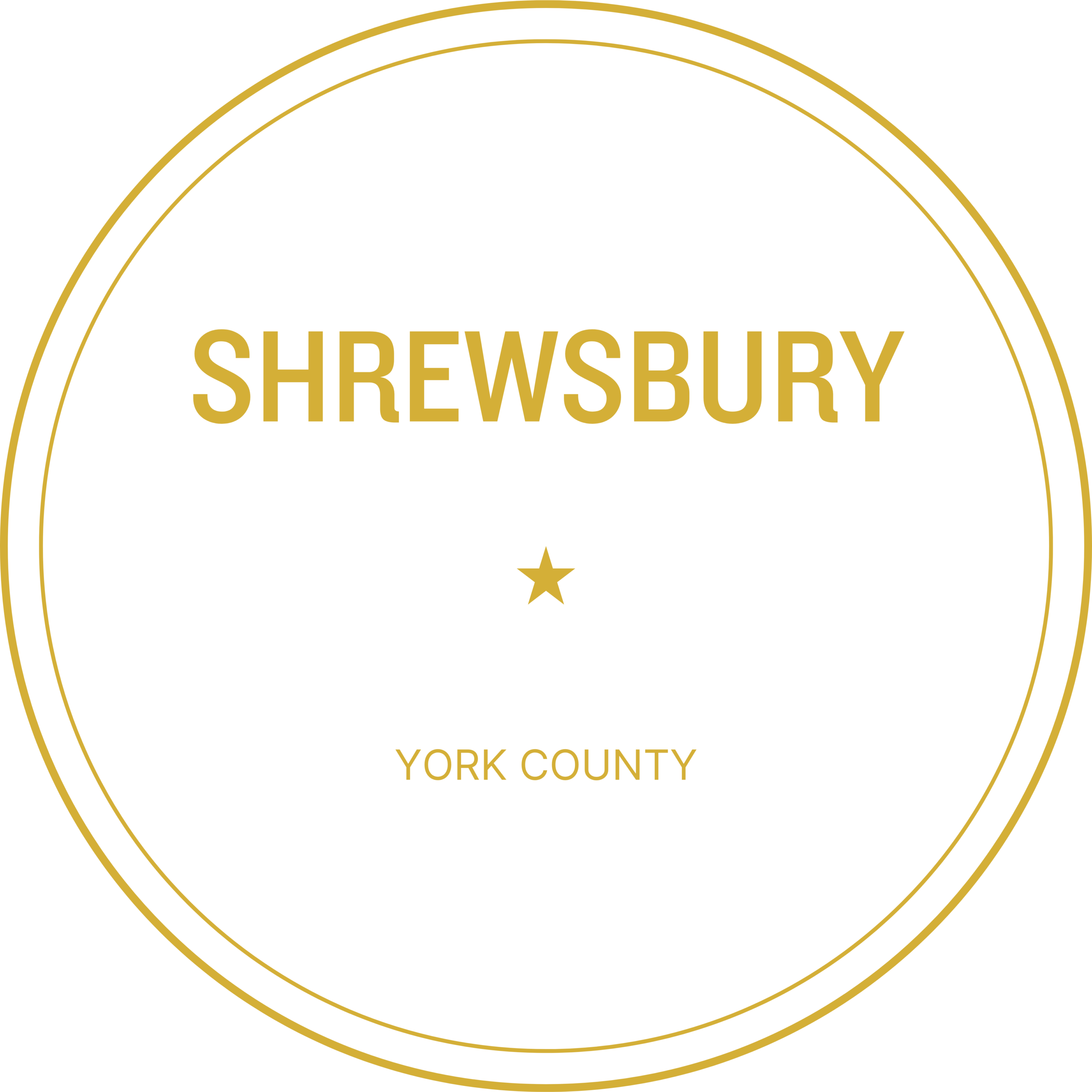 Shrewsbury PA Sweatshirt – Script Since 1834